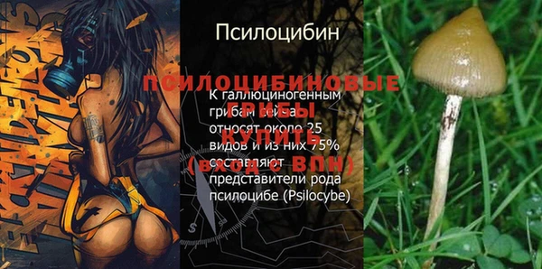 молекула духа Алзамай