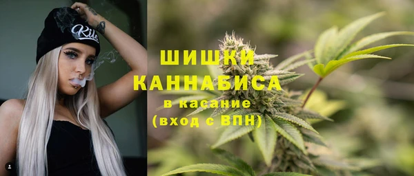 молекула духа Алзамай