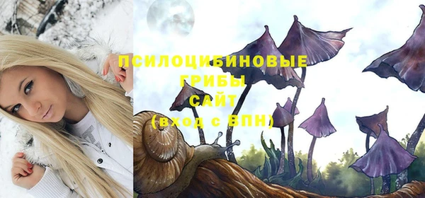 молекула духа Алзамай