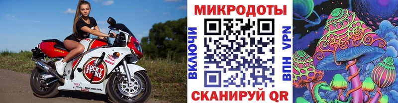 Галлюциногенные грибы GOLDEN TEACHER  купить закладку  ссылка на мегу зеркало  Кашин 