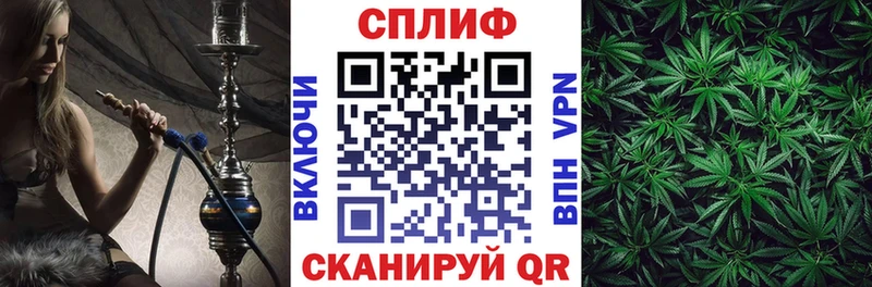 MEGA зеркало  Кашин  Каннабис гибрид 